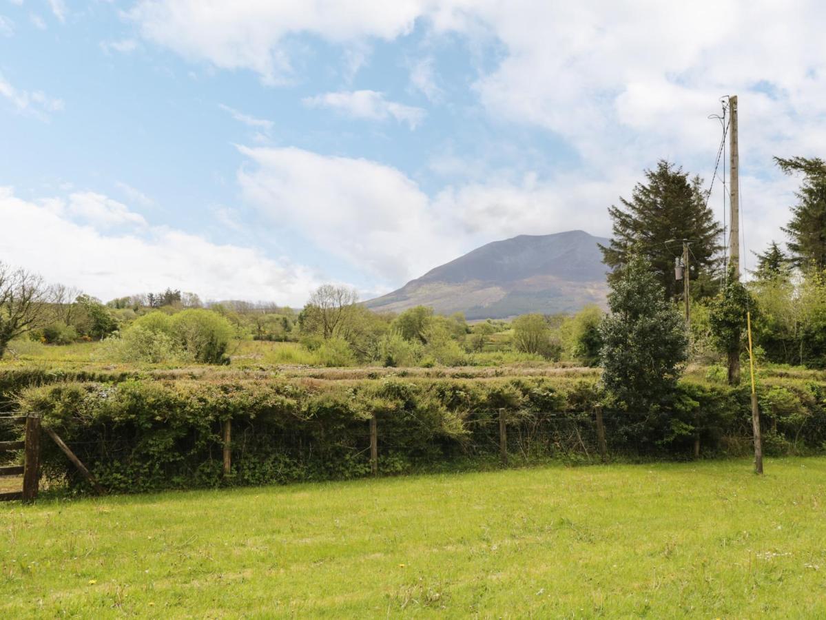 Howley Cottage Ballina  Exterior photo